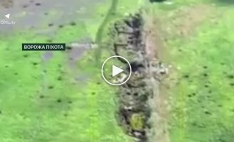 Пограничники уничтожили российскую МТ-ЛБ и ликвидировали 17 оккупантов в Харьковской области