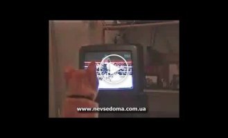 Кот смотрит бокс