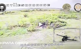 Спецназівці з Нацгвардії лише за добу вразили три російські гаубиці