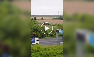 Мотогонщик зробив заднє сальто між двома вантажівками, що рухаються.