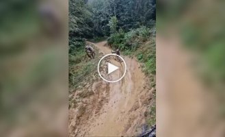 Гонки на велосипедах. Або на чому вийде
