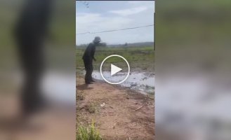 A tussle with a snake