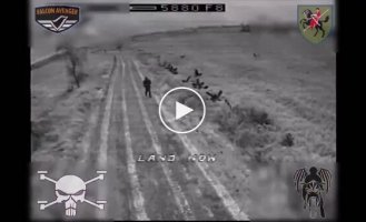 Destruction of invaders using kamikaze drones in the Avdeevsky direction