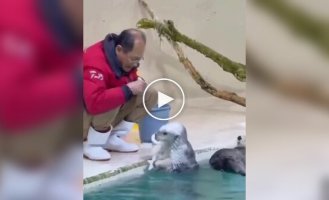 Морские выдры помогают работникам чистить бассейн