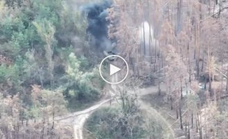 Russian scrap burns in the forest
