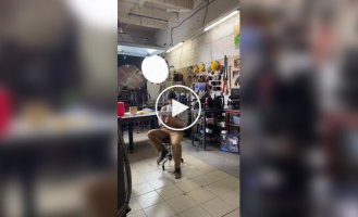 Энтузиаст сделал реальную версию легендарной мобильной игры