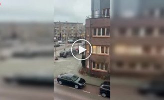 Безглуздий вчинок листоноші