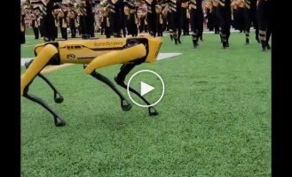 Робот Boston Dynamics станцевал с чирлидершами на стадионе