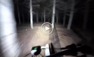 Dark forest speed escape