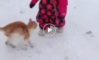 Почему не стоит поворачиваться спиной к кошкам