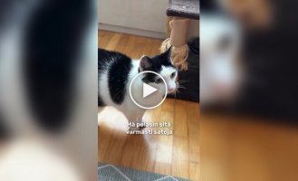 Пушистый фанат игры TES V: Skyrim