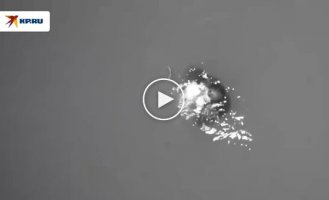 A lobster trap saved a surfer's life