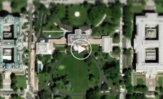 В США разработали дрон, который охотится на комаров