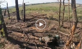 Liquidated occupiers near Ukrainian positions in the Kharkov region