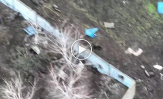 Підбірка відео з полоненими та вбитими в Україні. Випуск 44