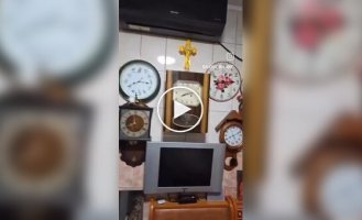 Когда кофе — это стиль жизни: квартира, где тикают сотни часов и бурлит эспрессо