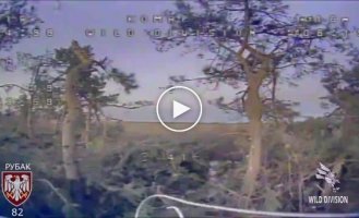 Ukrainian FPV drones fly into Russian military dugouts in the Zaporozhye region