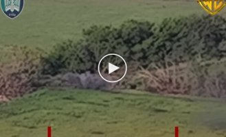 Бійці 414-ї бригади СБС спалили дві ворожі БМП
