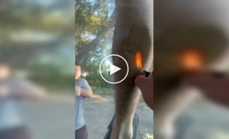 Коли жарти друзів виходять з-під контролю