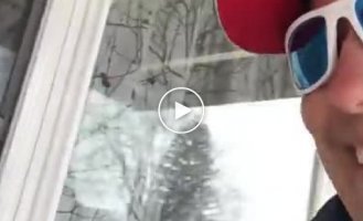 Canadian guard cat threatens postman with violence every day