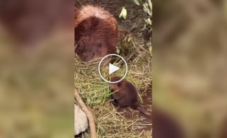 Первый день на работе