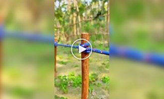 Узлы на все случаи жизни