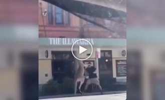 Жители Австралии выясняют отношения