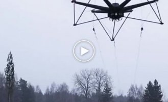 How soon will they start collecting forests using drones?