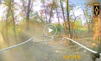North Korean Type-75 MLRS destroyed by drones in Kupyansk direction