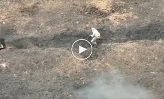 Video of trench battles for Bakhmut. Soldiers of the Armed Forces of Ukraine do not leave any of the Russian scum alive