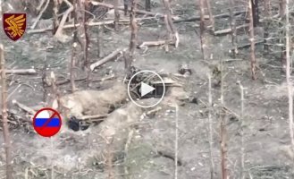 Two occupiers run at full height towards the Ukrainian position and die