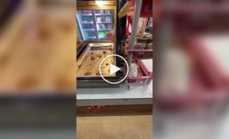 Хлопець порадував голодного пса