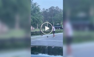 A man helped the ducks get to their mother