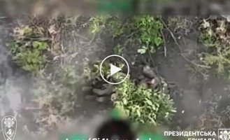 Liquidation of a Russian invader with a Z chevron on his hand