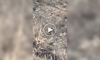 Direct hit by drone on Russian occupier