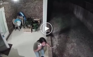 Когда в гости заходит медведь