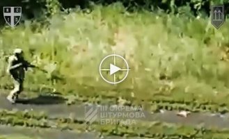 Группа оккупантов подняла плакат с надписью Мы хотим сдаться после атаки двух украинских дронов в Харьковской области