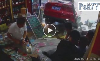 A car crashed into a store with gamblers