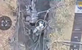 The occupier finishes off his wounded comrade with a rifle butt to the head