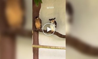 Она одна из нас