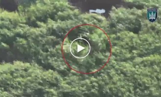 A Russian attack aircraft hit in the back by Ptahi Madyar