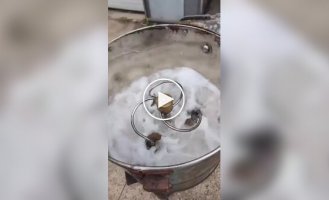 A washing machine is now 114 years old and still working