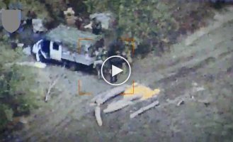 HIMARS MLRS covers several dozen occupiers in the Zaporizhia direction with cluster munitions