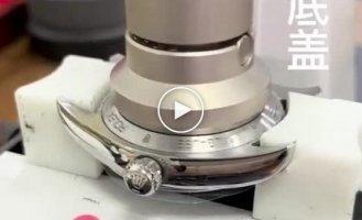 The painstaking work of a watchmaker