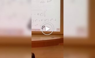 Пушистый учитель математики