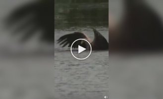 Ху - хороший улов