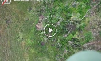 Soldiers of the 5th Separate Motorized Brigade destroyed an enemy drone, Russian transport, armored vehicles, and a mortar position