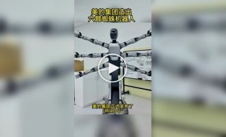 Представлений робот із шістьма руками, який вміє виконувати кілька завдань одночасно