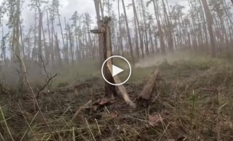 Cleansing of Russian positions in the Kremensky forest from the first person of the Ukrainian military