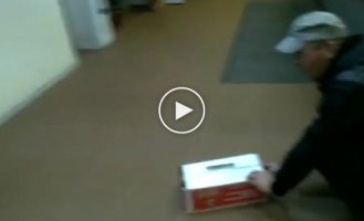 Кот любит коробки